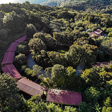 El Bosque Lodging Villa Monteverde ภายนอก รูปภาพ